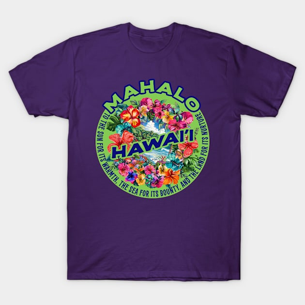 Hawaii T-Shirt by jcombs